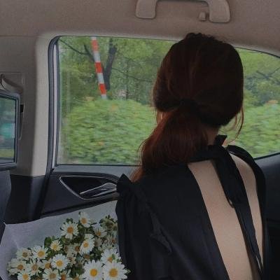 七骑士:革命-英雄的继承者-